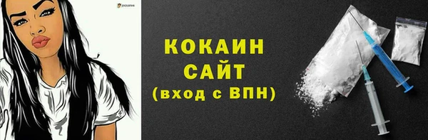 гидра Алексин