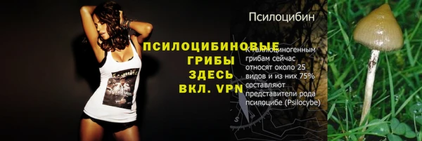спайс Алзамай