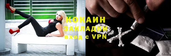 гидра Алексин