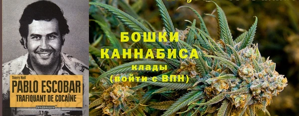 гидра Алексин